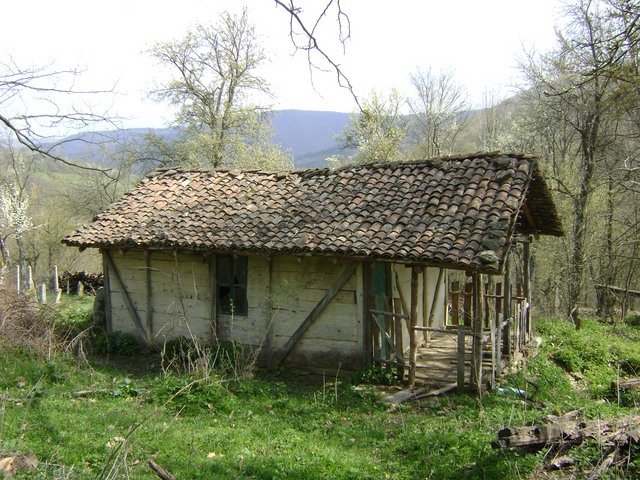 РМ-Търговище(с.Свирчево)